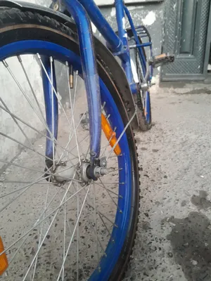 velik zanglaganu lekin yurishiga gap yoq 1