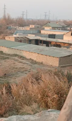 Dacha sotiladi Navoiy viloyati Karmana tumani yangi gres yonida 1