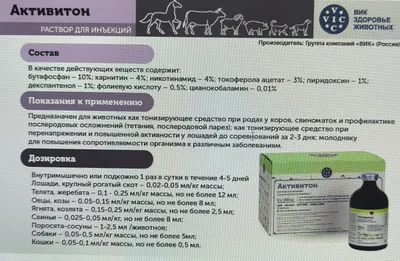 Aktiviton — uy hayvoningiz uchun vitaminli kokteyl. 1
