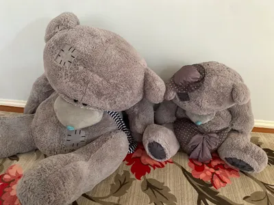 teddy ayiq 2
