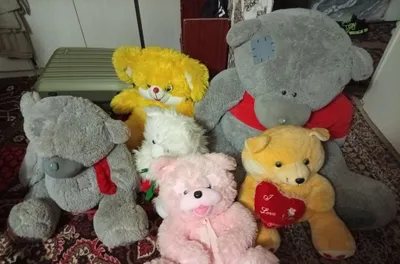 Hammasi zudlik bilan sotiladi