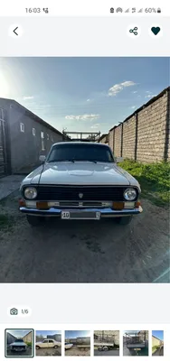 Mol bozorlarga qushxonalarga uydan xonadonlarga yetqazib. Beraman 1