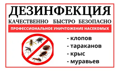 Дезинфекция от клопов, гарантия 1 год официально