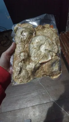 Ассорти свежих лесных грибов 1
