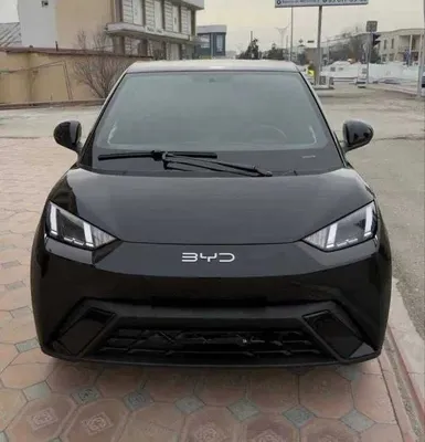 BYD Seagull Bosh Tolov 25% Bilan 1