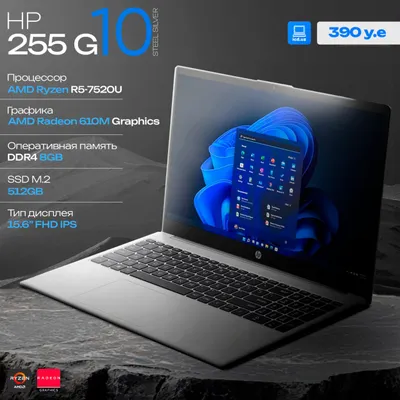 HP 255 G10 noutbuki