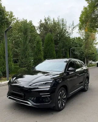 BYD Champion Smart 605 1