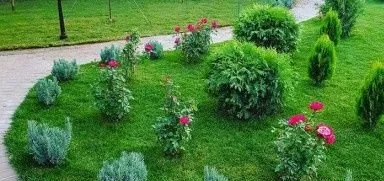 Landshaf gazon qilamiz 1