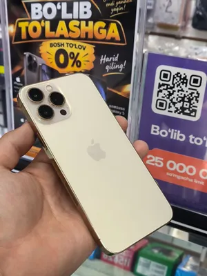 IPhone 13 Pro Max 256Gb 1