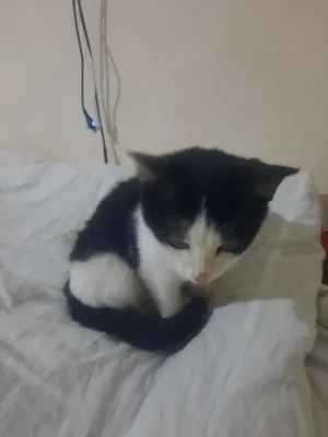 Yuklab olingan rus uy qurilishi porno Lena va Stepnov bilan jinsiy aloqa