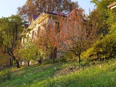 Charvak tog‘larida 20 sotix dala hovli sotiladi 1