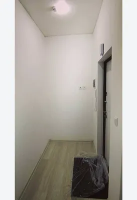 Аренда Паркентский Династия 1