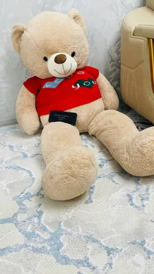 Teddy 1.6m Yangi:olingan kuniyoq strechlangan 1