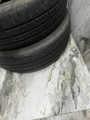Balon bor 4 ta BYD seagulniki radnoy