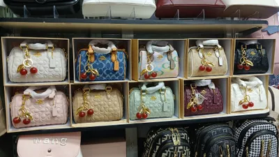 Qizlar sumkasi Coach 1