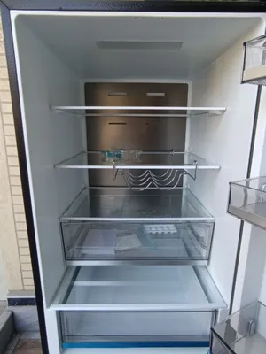 Ziffler 409 1