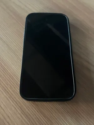 iPhone Pro Max 1