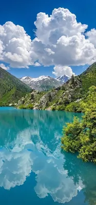 UCHI BIRDA! YANGI UY, DACHА, TOZA HAVO! 1