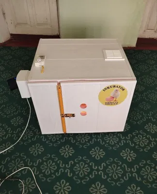 Инкватор 170 талик 1