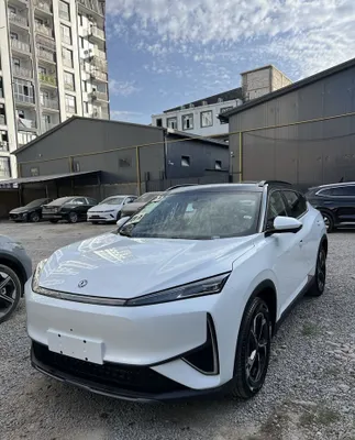 Dong Feng aeolus L7 1