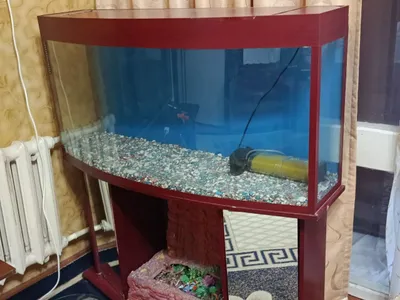Ishlatilgan akvarium sotiladi