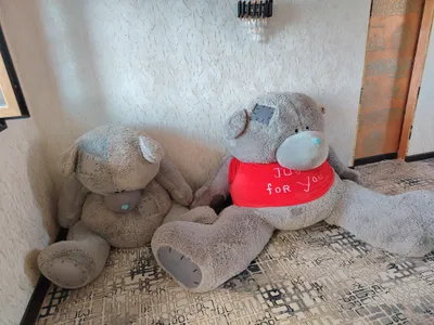 Tediy 2 в 1, 1000 1