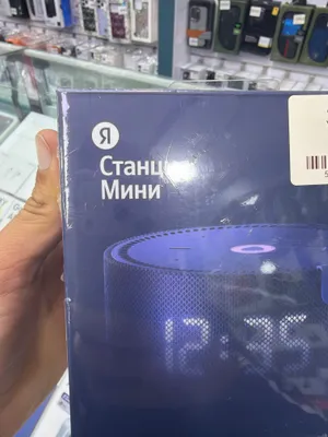 станция мини яндекс 1