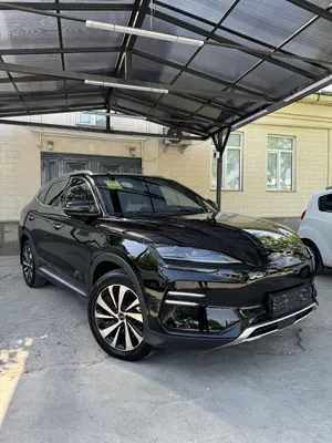 BYD chempion 605 full 1