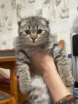 Toyda külotsiz qiz Tungi koylakda jinsiy aloqa