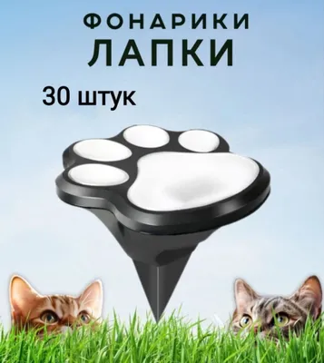 «Lapkalar» bog‘ chirog‘i 1