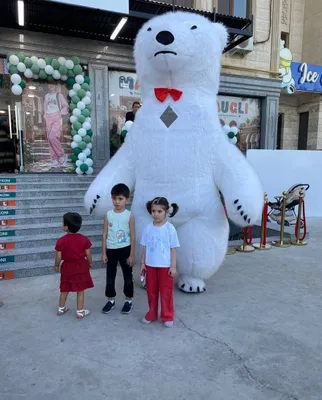 Ayiq va panda 1