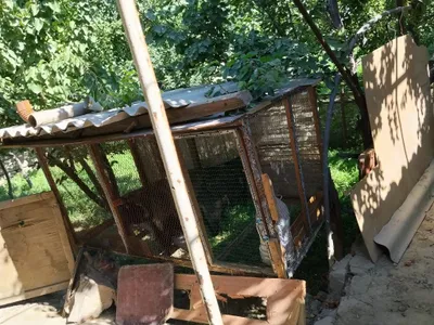 Продаются курятник и холодильник 1