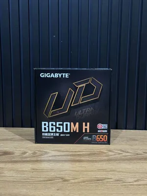 Gigabyte B650M H