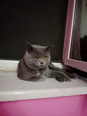 Novokuznetskdagi jinsiy aloqa joylari