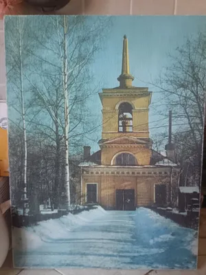 Matodagi reproduksiya (foto)