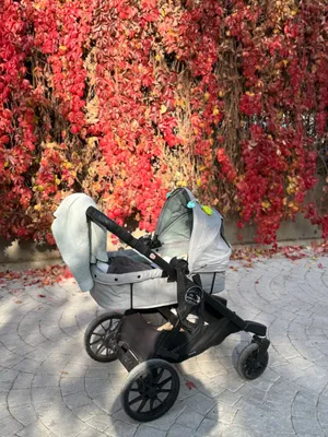 Детская коляска люлька + прогулочный блок babyjogger city select lux 1