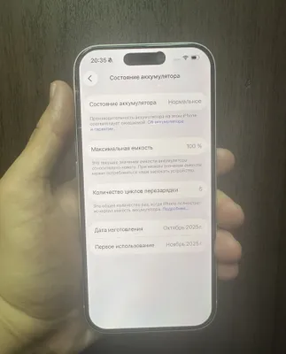 iPhone 17 Pro X/CHA, серебристый, 256 ГБ, SIM + eSIM, Dual SIM 1