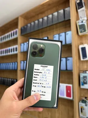 iPhone 13 Pro Max