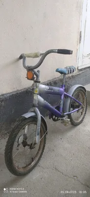 Датское велосипед. 1