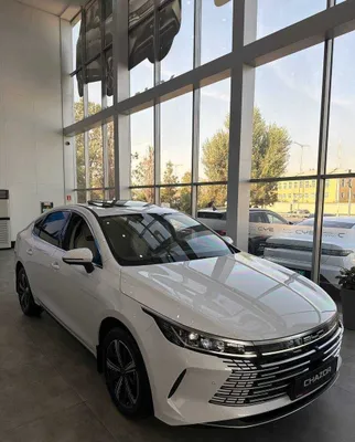 Rasmiy dilerdan BYD Chazor 120km Flagship, bo‘lib to‘lash mavjud 1