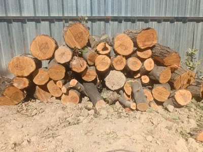 Продаются дрова 1