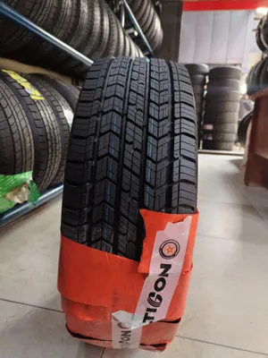 Шины Alticon Optim 1