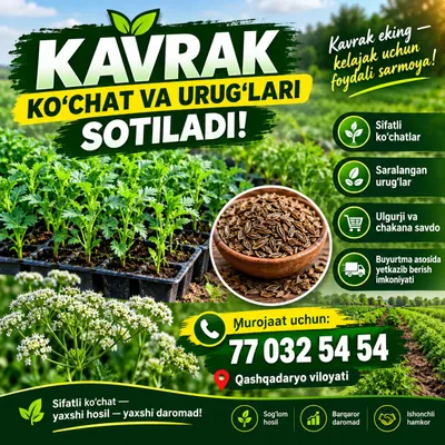kavrak 1