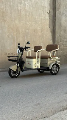 Oila va xaridlar uchun X6 800W oilaviy riksha-tritsikl | Qadoqda yangi! 1