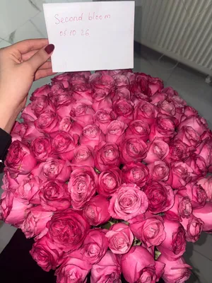 Букет из роз