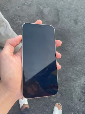 Iphone 12 Pro max 256Gb 1