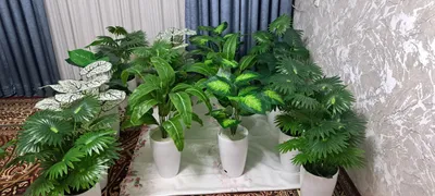 suniy gullar daraxtlar sotiladi.