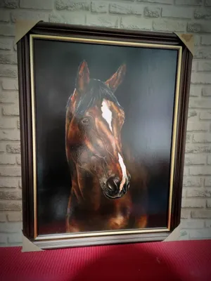 Картина с изображением лошади, 80×60 1