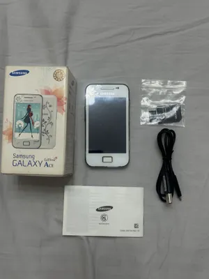 Samsung Galaxy Ace La Fleur (модель GT-S5830) 1