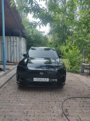 Tog‘larda taksi xizmati 1